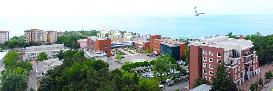 Zonguldak Bülent Ecevit Üniversitesi cover