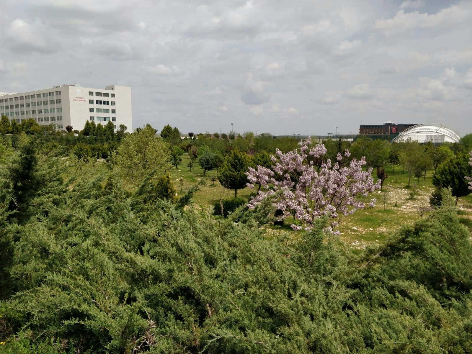 Gaziantep İslam Bilim ve Teknoloji Üniversitesi cover